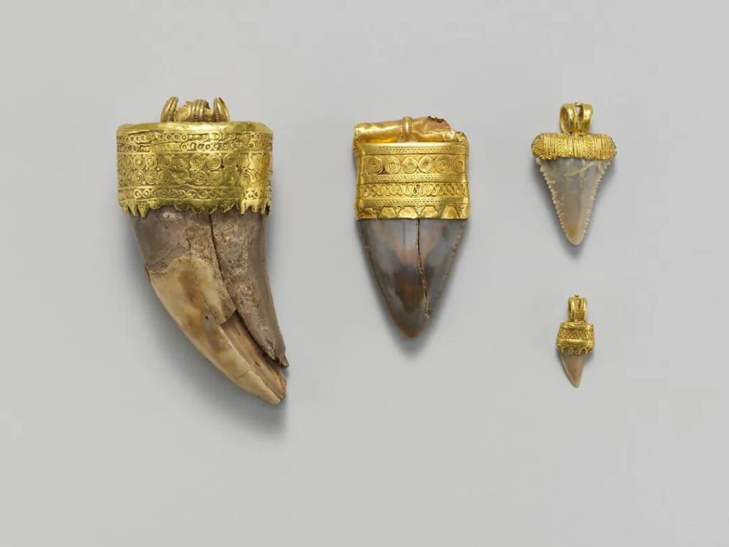 A gold pendant with a shark tooth, dating back to the 4th century BC from the Etruscan civilization, now housed in the Metropolitan Museum of Art in the United States, exemplifies this early form of jewelry.