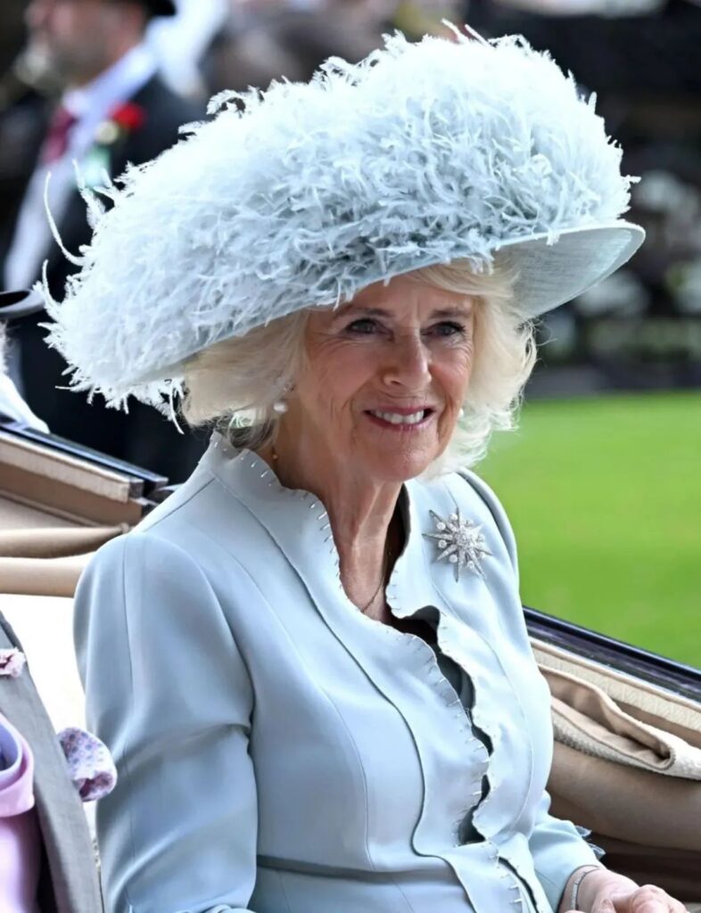 Camilla wearing the Queen's Diamond Jardine Star Brooch.