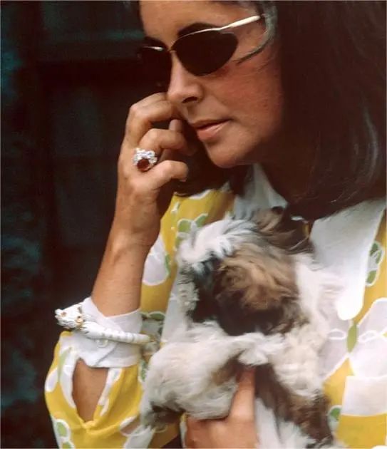 Elizabeth Taylor wearing David Webb's enamel horse bracelet