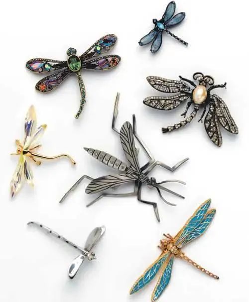 Madeleine K. Albright's collection of insect brooches