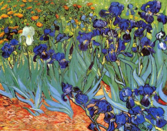 Dutch painter Vincent van Gogh - Irises