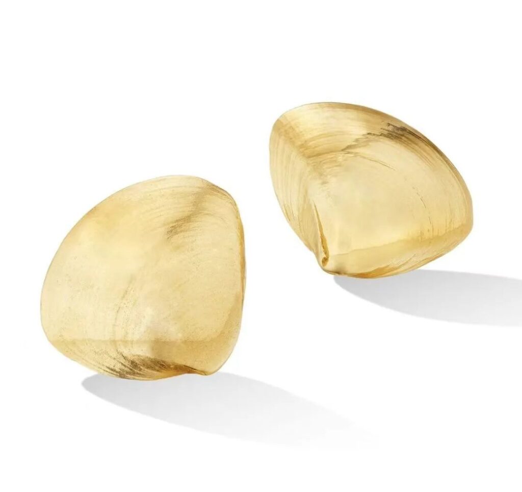 Shell Gold Earrings