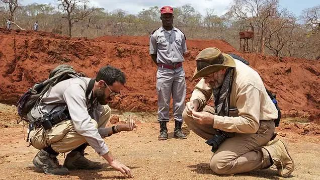 Experts Also "Pick" Gemstones