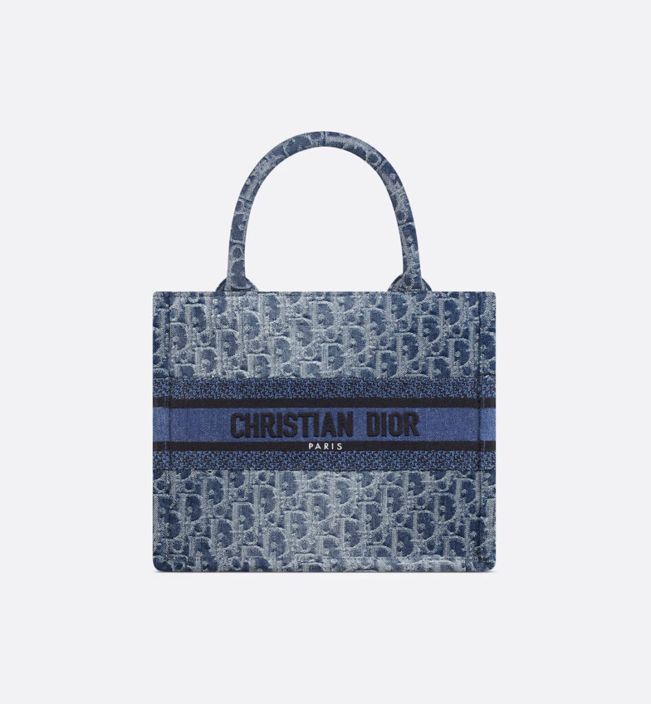 Small Dior Book Tote handbag