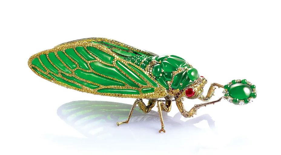 Stilled Life cicada brooch