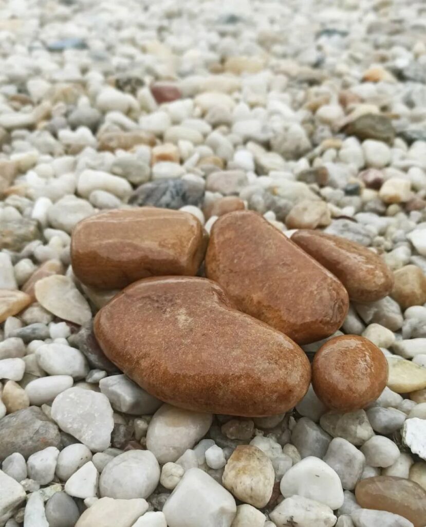 Pebbles used in Fernando Jorge's High Fluidity Bracelet