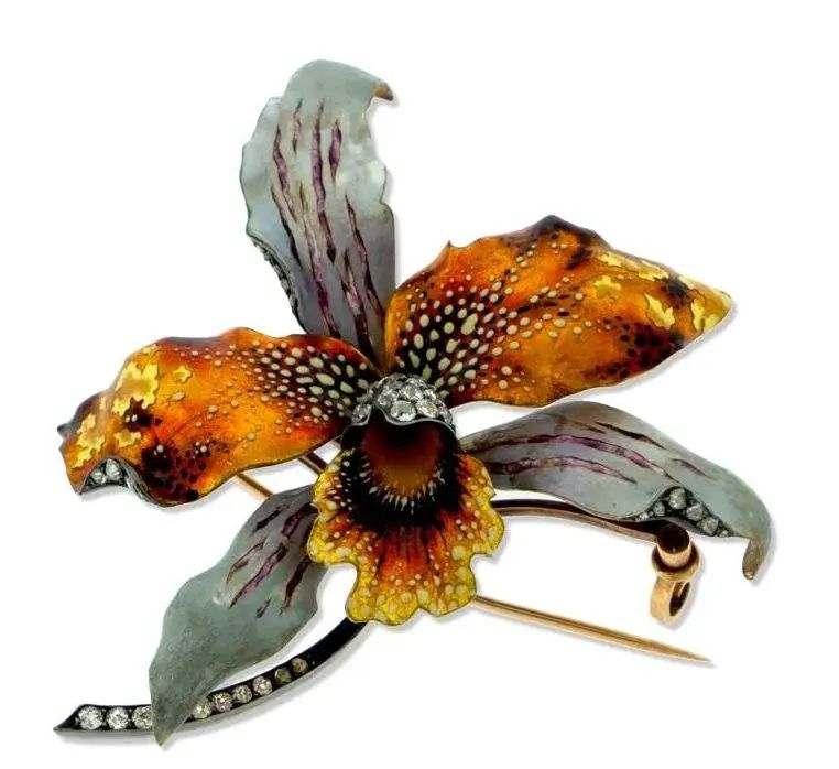 Le Turcq et Duval Cattleya Orchid Brooch
From the collection of Simon Teakle