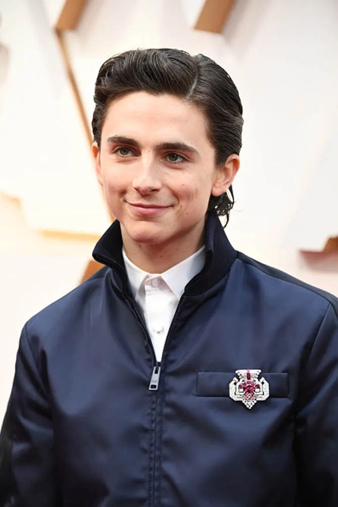 Timothée Chalamet wearing a vintage Cartier brooch at the 2020 Oscar ceremony