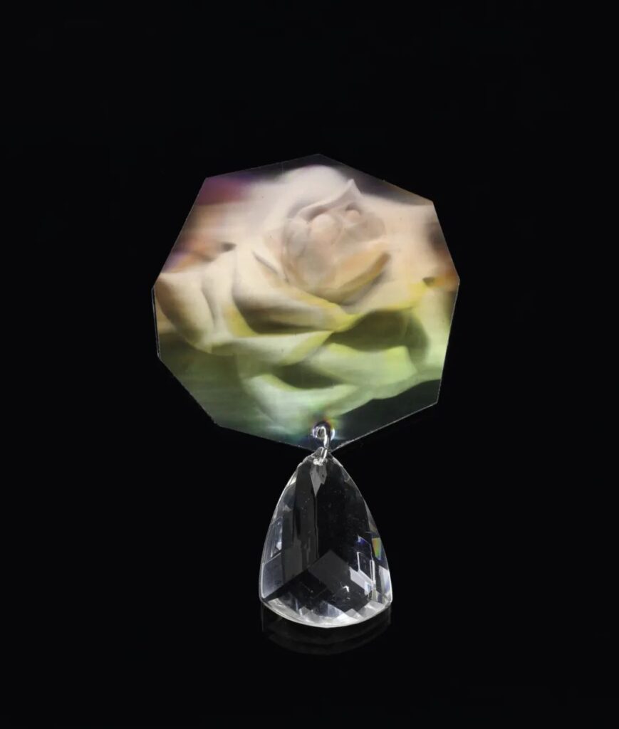 A rose is a rose..., brooch
Peter TULLY, 1991