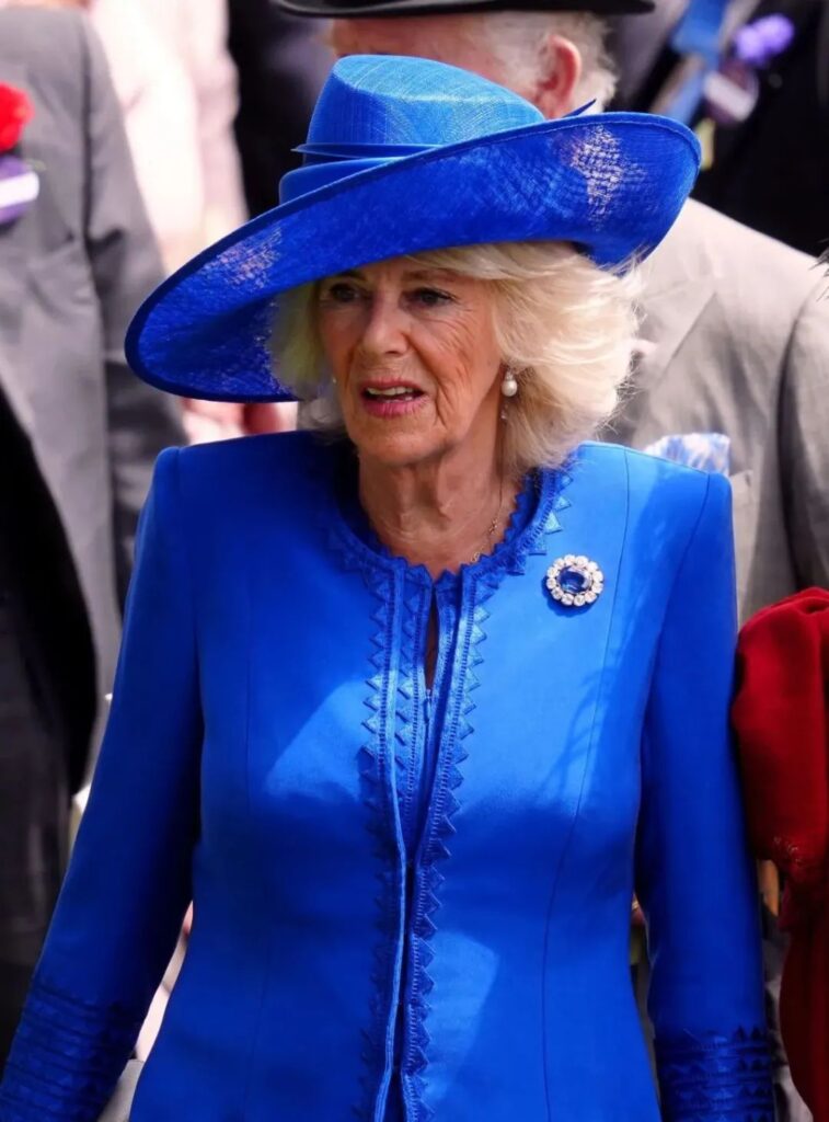 Camilla wearing Prince Albert's Sapphire Brooch.