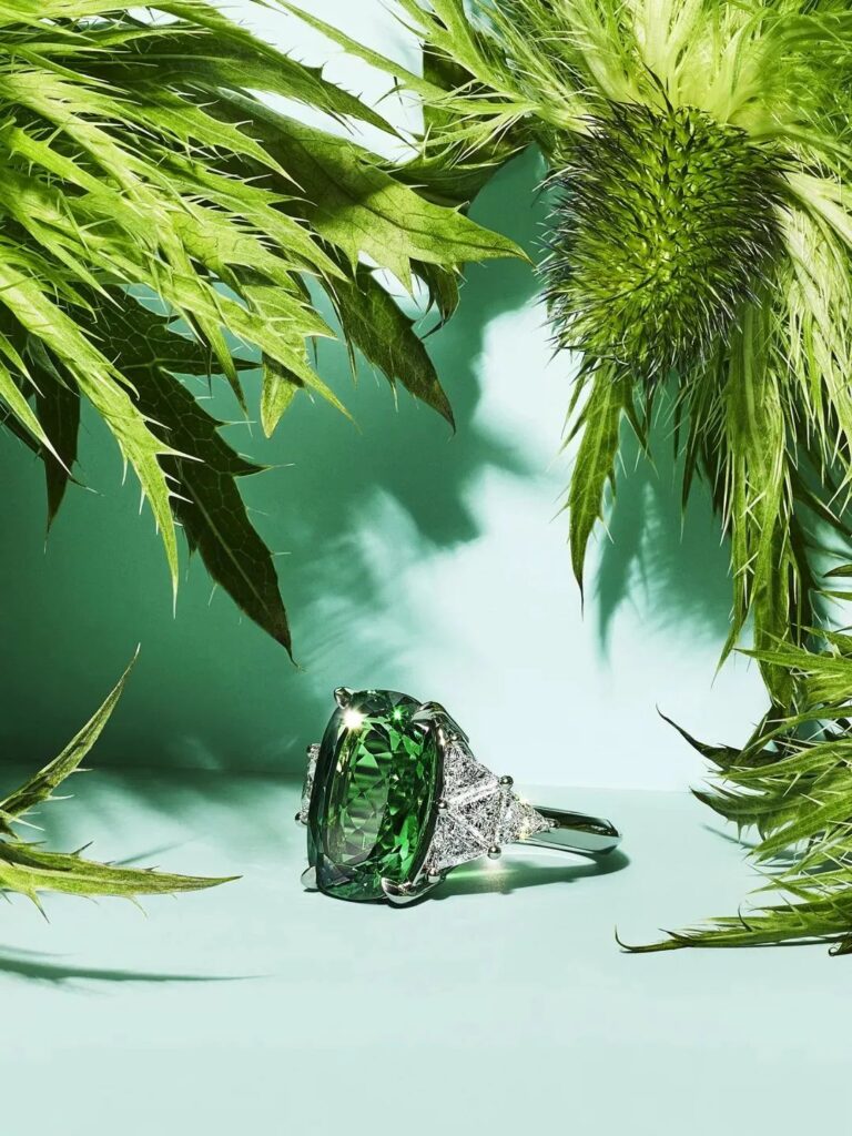 Tiffany & Co.
2022 Blue Book High Jewelry Collection
Botanica Ring Tsavorite and Diamond