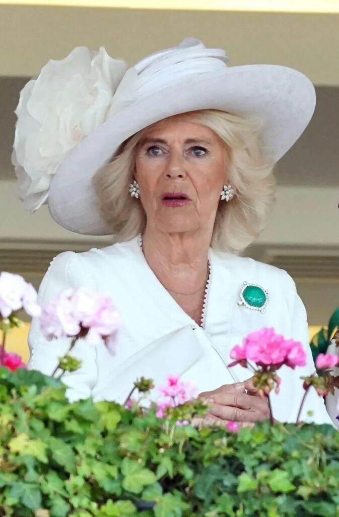 
Camilla wearing The Ladies of India Brooch.