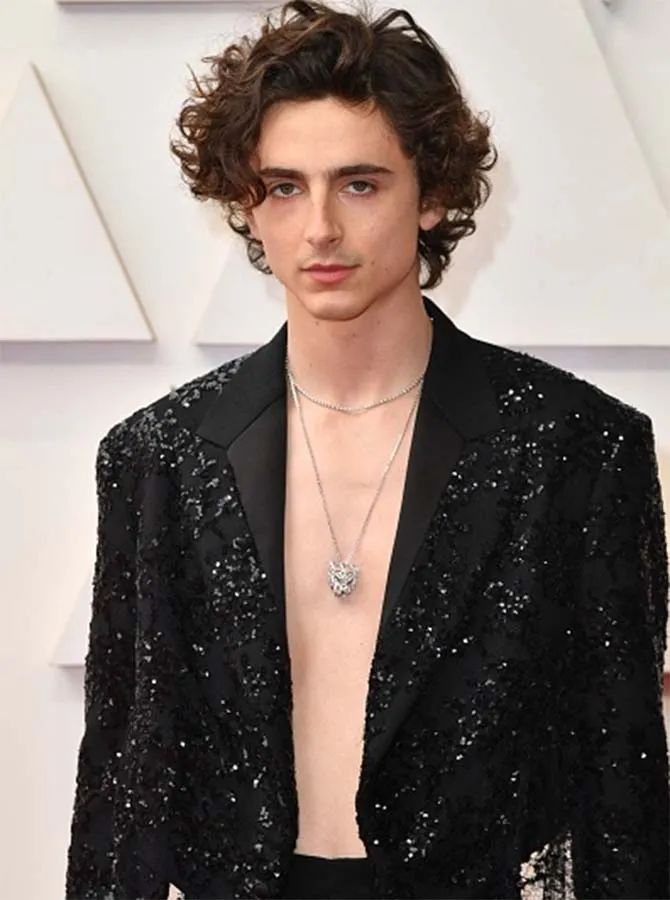 Timothée Chalamet wearing a Cartier Panthère collection necklace